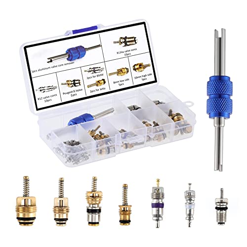 40pcs Car Air Conditioner Valve Core R12 R134a Automotive Air Conditioning Refrigeration Tire Valve Stem with Double Head Dual Dismantling Remover Tool Assortment Kit - color: 40PCS