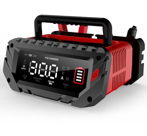 30 Amp Lithium Battery Charger,6V10A/12V30A/24V16A Lifepo4,Lead-Acid(AGM/Gel/SLA..) Smart Car Battery Charger,Battery Maintainer,Trickle Charger, and Battery Desulfator for Car,Boat,Motorcycle