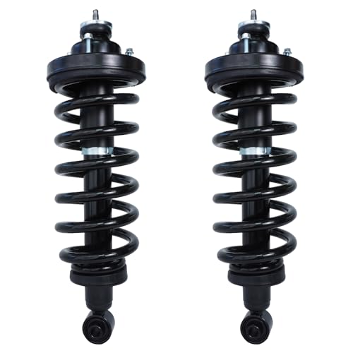 Detroit Axle - 2 Rear Struts for 2006-2010 Ford Explorer Mercury Mountaineer, Complete Struts & Spring Assembly 2007 2008 2009 Replacement Quick Install Ready Struts Shocks - size: 171125 x2/PAIR