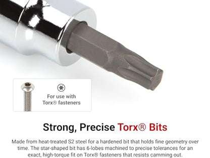TEKTON Torx Bit Socket Set, 12-Piece | SHB91103