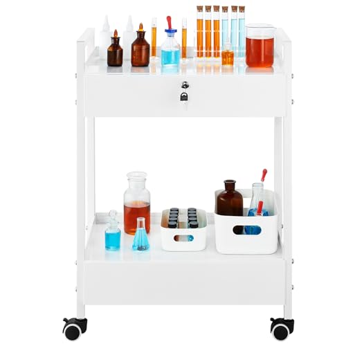 VEVOR Rolling Medical Cart with Lockable Drawer, White Paint Stainless Steel Utility Cart, 2 Tiers Mobile Esthetician Trolley Cart with Swivel Casters for Lab, Hospital, Dental, Salon and Beauty - size: 2-tier with 2 drawer