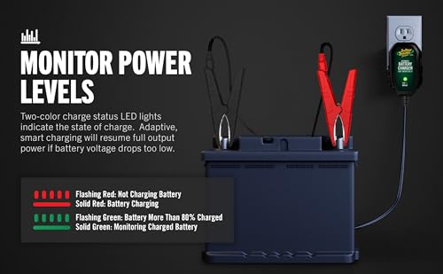 Battery Tender Junior 12V, 750mA Charger and Maintainer: Automatic 12V Powersports for Motorcycle, ATVs, and More - Smarter Than a Trickle Charger - 021-0123