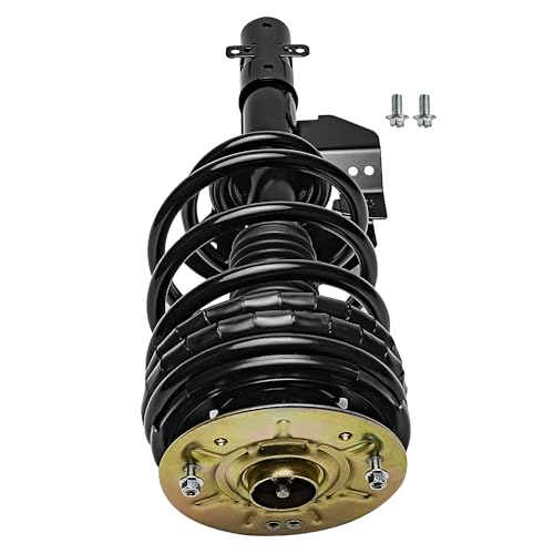 Detroit Axle - Front Struts for 1990-1996 Chevrolet Lumina APV Olds Silhouette Pontiac Trans Sport, Ready Struts w/Coil Spring Assembly 1991 1992 1993 1994 1995 Replacement [w/o Air Suspension] - size: 171820 x2/PAIR