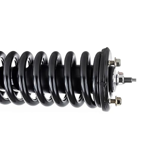 Detroit Axle - 4WD Front Struts with Coil Spring for 2005-2021 Nissan Frontier, 2006 2007 2008 2009 2010 2011 2012 2013 2014 2015 2016 2017 2018 2019 2020 Complete Struts Assembly Replacement - size: SR4202x2/Pair