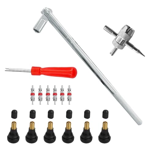 GLSOWEE Tire Valve Stem Puller Installer Tool Kit, 6 Pcs TR412 Snap-in Valve Stems & Valve Stem Cores, 4-Way Valve Tool & Single Head Tire Valve Core Remover Installer Tool (15PCS) - size: 15PCS