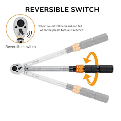 1/2 Inch Drive Click Torque Wrench, 10-170 ft-lb (13-230 Nm) Micrometer Adjustable Dual Scales, 72-Tooth Reversible Ratchet, ±2% Accuracy, Storage Case - size: 1/2" Drive