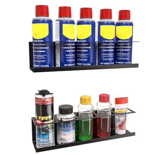 Riciakik 2 Pack Wall-Mounted Aerosol Spray Can Holder Storage Rack, Heavy-Duty Paint Bottle Organizer With 10 Holes, Black Spray Steel Rack for Garage, Shop, Home or Tool Trailer - style: 2 Pack