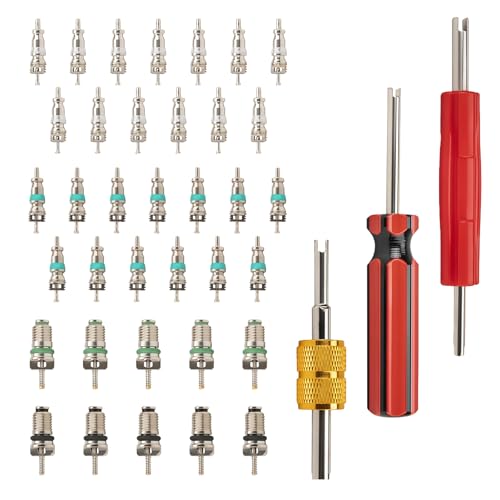 39 PCS AC Valve Core Removal Tool Accessories Kit, R12 R134a Refrigeration Tire Valve Stem Tool with Dual Head Thread Repair for Automotive Car Truck HVAC System
