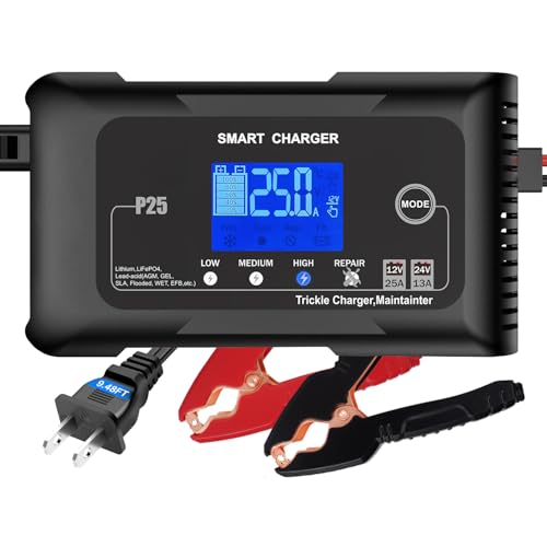 Battery Charger 0-25A,12V&24V LiFePO4 Battery Charger for Lithium,Lead Acid,AGM,RV,Marine,Boat, and Deep Cycle Batteries,9 Stage with Pulse Repair,Smart Car Trickle Charger & Maintainer - color: gray