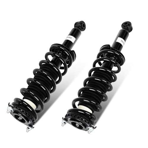SCITOO - Rear Complete Strut & Coil Spring Assembly Fits 2005 2006 2007 2008 2009 for Subaru Outback with 15920 172567 - Set of 2