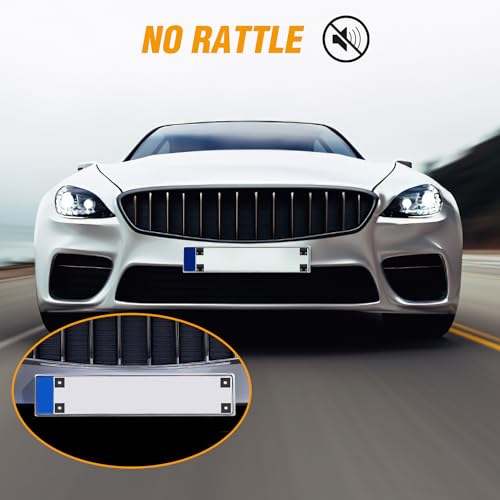 GOOACC 8 Sets Anti-Theft Stainless Steel License Plate Screw Kit with Anti-Rust Stainless Steel Mounting Hardware and Nylon Fastener Nuts for Securing License Plates Frames on Cars, Trucks, SUVs - color: 8 Sets License Plate Screw