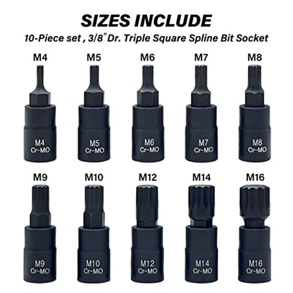 XZN Triple Square Spline Bit Socket Set, Premium Cr-Mo Steel | 10-Piece M4 - M16 Set | 3/8-Inch Drive | Enhanced Storage Case… - size: Spline Bit