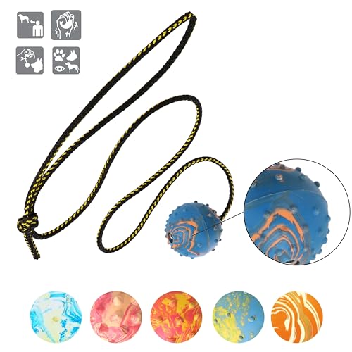 Dingo Fetch Ball Made of Hard Rubber with Knobs and String, Small, for Aport Game Dog Training 17321 - size: us4/100cm
