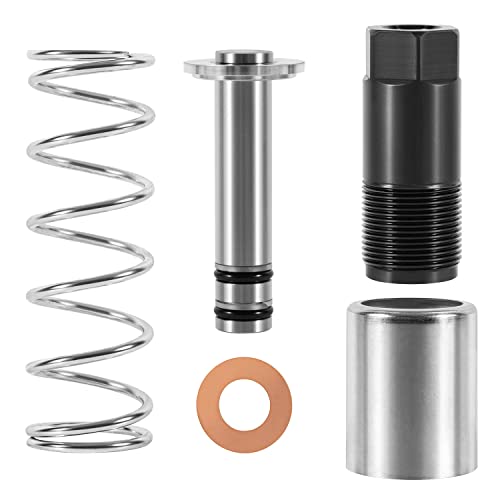 Replacement Pump Piston Pump Plunger Kit for Harbor Freight-Costco-Arcan-Matco 3 ton & 3 1/4 ton Floor Jack, Low Side Smaller of The Two Plungers