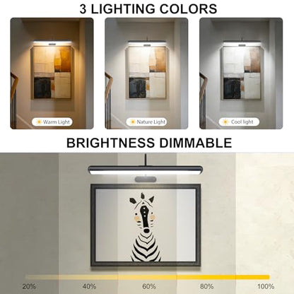 Set of 2 Picture Lights with Timer Dimmer, Painting Light with Remote Rechargeable Battery ,Wall Art 3 Lighting Colors Temps,16inch Full Metal Over Picture Painting Frame Dartboard Gallery Hallway - color: Black, size: 16inch Gooseneck 2-Pack