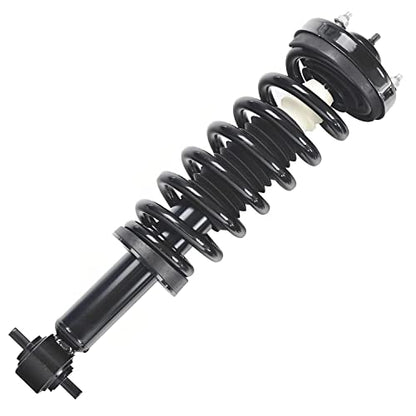 Detroit Axle - 4WD Struts Shock Absorbers for 2015-2020 Ford F-150, 2 Complete Front Struts w/Coil Spring, 2 Rear Shock Absorbers Assembly 2016 2017 2018 2019 Replacement - size: 4AQ47100/ strut shock kit