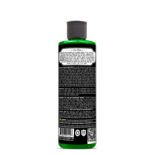 Chemical Guys, Honeydew Snow Foam Car Wash Soap for Foam Cannons, 16 oz | Works with foam cannons, foam guns or bucket washes, safe for cars, trucks, motorcycles, RVs, honeydew scent - size: 16 Fl Oz (Pack of 1), style: HONEYDEW