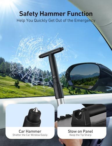 AstroAI Windshield Cleaner, Microfiber Window Cleaner with 4 Reusable Washable Large Sponge Pads, Extendable 180° Rotating Handle, Fits Cars & SUVs, Includes Spray Bottle, Green - color: Green