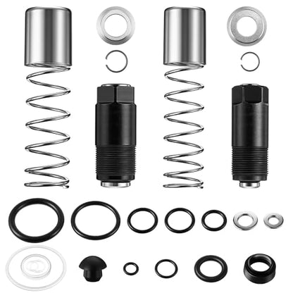 Saillong 3 Ton Dual Pump Floor Jack Rebuild Kit,Large & Small Low Side Pump Piston Plungers with 17PCS Seal Kit,Compatible with Pittsburgh,Big Red,Harbor Freight,Arcan,Horizontal Jack Replacement Part
