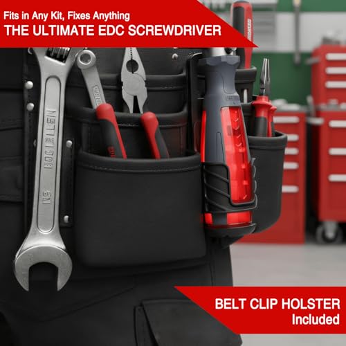 10-in-1 Ratcheting Screwdriver Set with 180° Pivot Head, Magnetic Bits, All-in-Handle Design, Compact Multi-Bit Tool for Home DIY, Electronics and Car Repair, Red (Red)