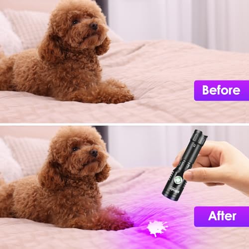 Home Safety 1602 395nm UV Flashlight Blacklight Portable Black Light for for Pet Urine Finding & Mineral, Antique Detection, Scorpion Search, etc (1602_UV395nm)