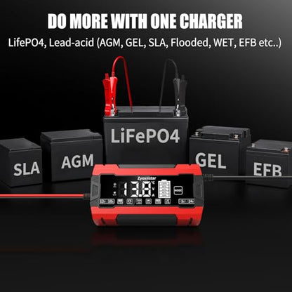 Battery Charger 10 AMP, 12V/24V LiFePO4 Lead Acid Car Battery Pulse Repair Charger, Smart 10-Stage Maintainer & Trickle Charger w/Temp Compensation