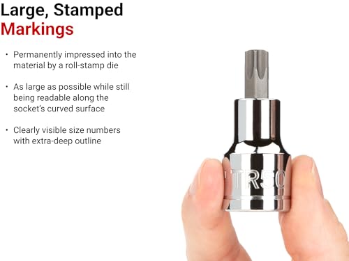 TEKTON 3/8 Inch Drive x TR10 Tamper-Resistant Torx Bit Socket | SHB17210 - size: TR10
