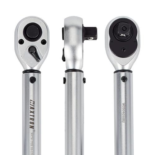 1/2 Inch Drive Click Torque Wrench, 10-170 ft-lb (13-230 Nm) Micrometer Adjustable Dual Scales, 72-Tooth Reversible Ratchet, ±2% Accuracy, Storage Case - size: 1/2" Drive