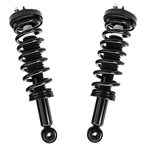 Detroit Axle - 2 Front Struts for 2004-2008 Ford F-150, 06-08 Lincoln Mark LT Complete Struts with Coil Spring 2005 2006 2007 Replacement Quick Install Ready Strut Shock Assembly - size: 171362 x2/PAIR