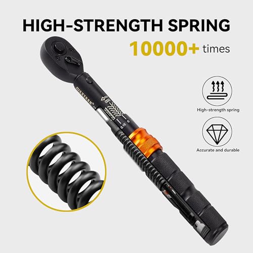 Bike Torque Wrench Set, 2-20 Nm, 35-Piece Kit with 1/4" Drive Click Ratchet Wrench and Bits