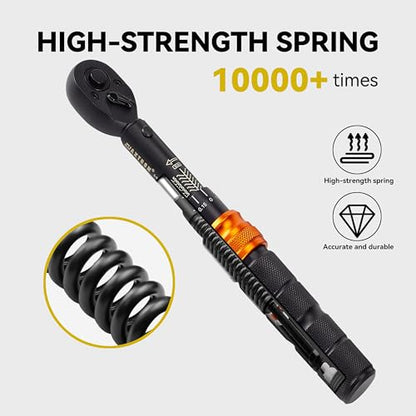 Bike Torque Wrench Set, 2-20 Nm, 35-Piece Kit with 1/4" Drive Click Ratchet Wrench and Bits