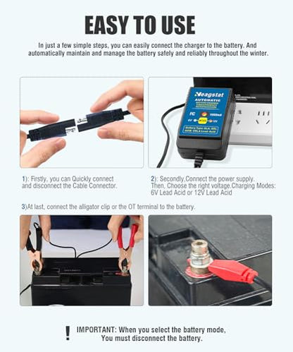Heagstat HEAG010 Trickle Battery Charger, 6V&12V 1000mA Battery Maintainer - size: 1A 12V