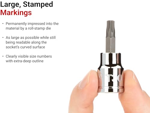 TEKTON Torx Bit Socket Set, 12-Piece | SHB91103