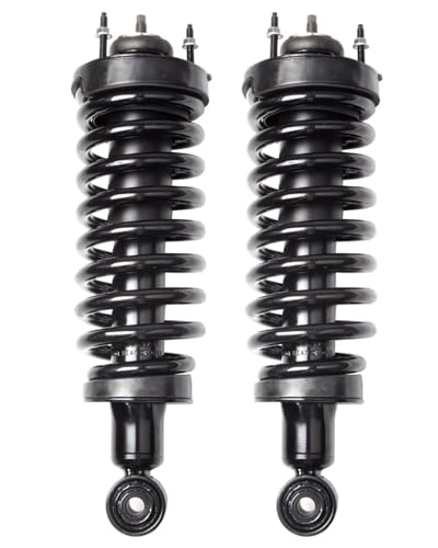 SCITOO Front Complete Struts Assembly Shock Absorber for Ford Crown Victoria 2003-2011,for Lincoln Town Car 2003-2011,for Mercury Grand Marquis 2003-2011 Automotive Replacement Struts - Set of 2