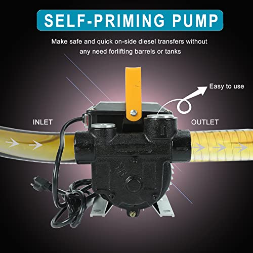 110V AC 550W Self Priming Electric Transfer Pump, 60L/min Oil Transfer Pump Fuel Diesel Kerosene Biodiesel Pumps For Vehicles, Construction Sites, Farms - style: 110V 550W