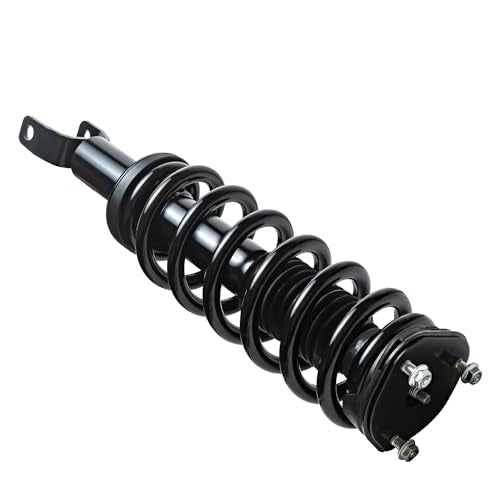 Detroit Axle - 4WD Suspension Kit for 09-10 Dodge Ram 1500, 11-18 Ram 1500, | Front Struts & Coil Spring Rear Shock Absorbers 2009 2010 2011 2012 2013 2014 2015 2016 2017 2018 Replacement - 4pc Set - size: 4AQ47498/ strut shock kit