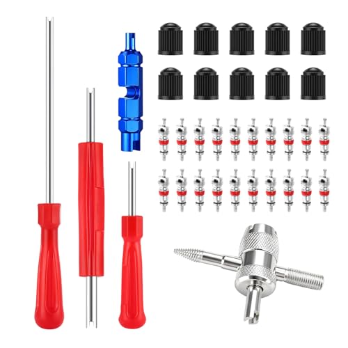 35PCS Valve Stem Puller Installer Tool Kit, 4-Way Car Tire Core with 40 Valve Cores & 20 Plastic Caps, Single Dual Head Puller Valves Repair Tools for Car Bike Truck