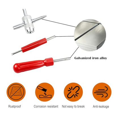 Valve Stem Removal Tool, 20 PCS Valve Cores, 20 PCS Tire Valves Caps, 1 PCS 4-Way Valves Tool, Valve Core Remover Tool with Storage Box Universal for Cars/Motocycle/Bike