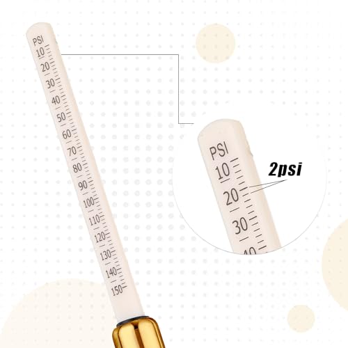 Tallew 10 Pack Dual Head Tire Pressure Gauge Heavy Duty Air Pressure Tire Gauge for Auto Truck Car RV Van Gage Range 10-150PSI, 1-10Bar (Gold) - color: Gold