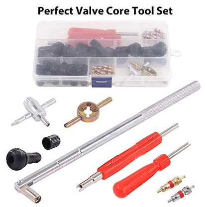 65 pcs Tire Valve Stem Tool Puller and Installer Kit- 50 Pcs Valve Cores with Slotted-Head Valve Caps, Tire Stem Puller Tools,Dual Single Head Valve Core Remover and 4-Way Valve Tool