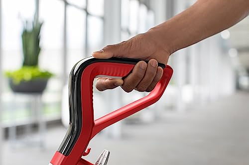 Hoover Commercial PowerScrub XL Spot Extractor, Carpet Cleaner Machine, Deep Cleaning Shampooer, Commercial Grade Stain Remover with Heated Dryer, Pair with Hoover Carpet Cleaner Solution