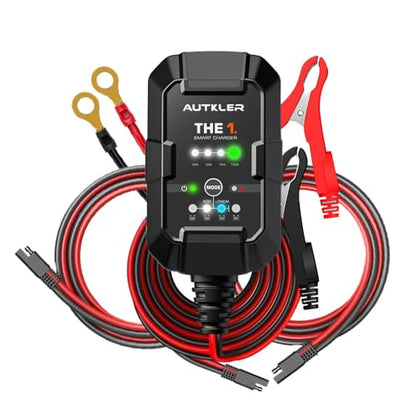 THE1A 6V/12V Smart Battery Charger,Trickle Charger,Desulfator & Automatic Maintainer for Multi-Chemicals Lead-Acid & Lithium Batteries,Temperature Compensation Down -20 °C,IP60