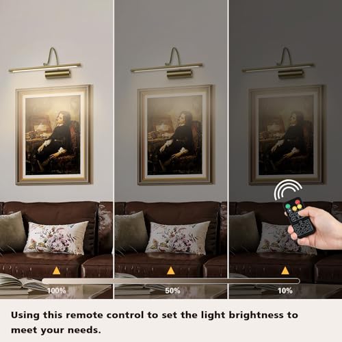 JOOSENLUX Battery Operated Picture Lights Gold Wall Lights Wireless Flexible Neck with Remote Rechargeable Wall Lights for Pictures 16" Dimmable Display Art Light with Timer 3000K Brass - color: Brass, size: Model A