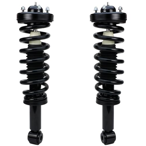 Detroit Axle - 2pc Front Struts for 2007-2013 Ford Expedition Lincoln Navigator, 2 Complete Struts & Coil Springs Assembly 2008 2009 2010 2011 2012 Quick Install Ready Strut Shock Assembly - size: 171138 x2/PAIR