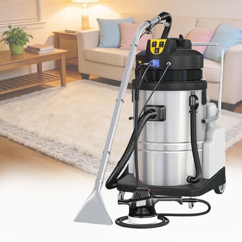 Professional Portable Carpet Cleaning Machine, Heavy-Duty Wet Dry Vacuum Extractor, for Deep Cleaning Carpets, Sofas, Rugs, Car Interiors, Garages 20L - size: 20L