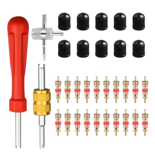 Car Tire Valve Stem Removal Tool, Multifunction Vehicle Wheel Air Stem Remover Installation Tool with 20 Valve Cores and 10 Caps, Automotive Tires Repair Accessories, Universal Fit