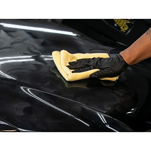 Meguiar's Gold Class Carnauba Plus Premium Liquid Wax Kit, Car Detailing Kit with a Pure Carnauba Wax Blend & Foam Applicator Pad for Keeping Glossy Paint Protected Like a Pro,16 Oz Bottle (Pack of 2) - size: 16 Fl Oz (Pack of 2)