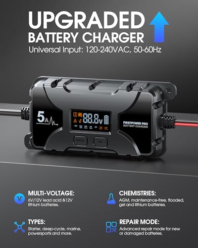 5A Car Battery Charger, 12V 6V Trickle Charger for Car Motorcycle Battery, Automobile Battery Maintainer with LCD Display, Pulse Repair Desulfator for Lead Acid, AGM, Lithium Batteries (Silver)