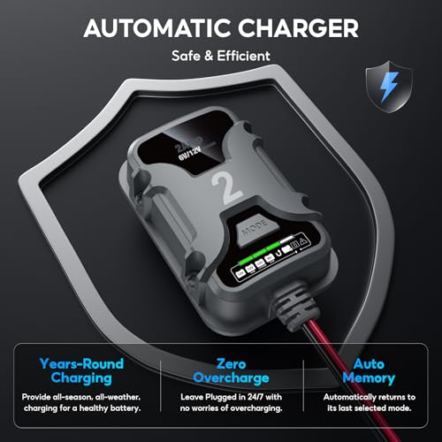2A 6V/12V Smart Battery Charger Plug in – Auto Maintainer & Desulfator for AGM/Lithium – Trickle Charging for Cars, Boats, RVs - size: 1 Bank(2A)
