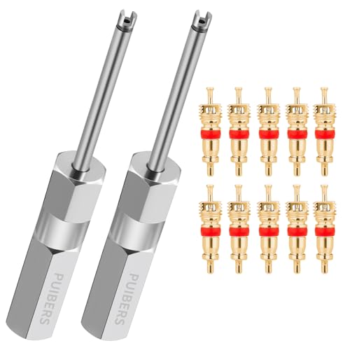Magnetic Schrader Valve Stem Removal Tools, 4.3 Inch Valve Core Removal Tool Set with 10 Valve Cores,Stainless Steel Tire Valves Tool for Schrader Cores (2-Pack) - size: Schrader 2 PACK